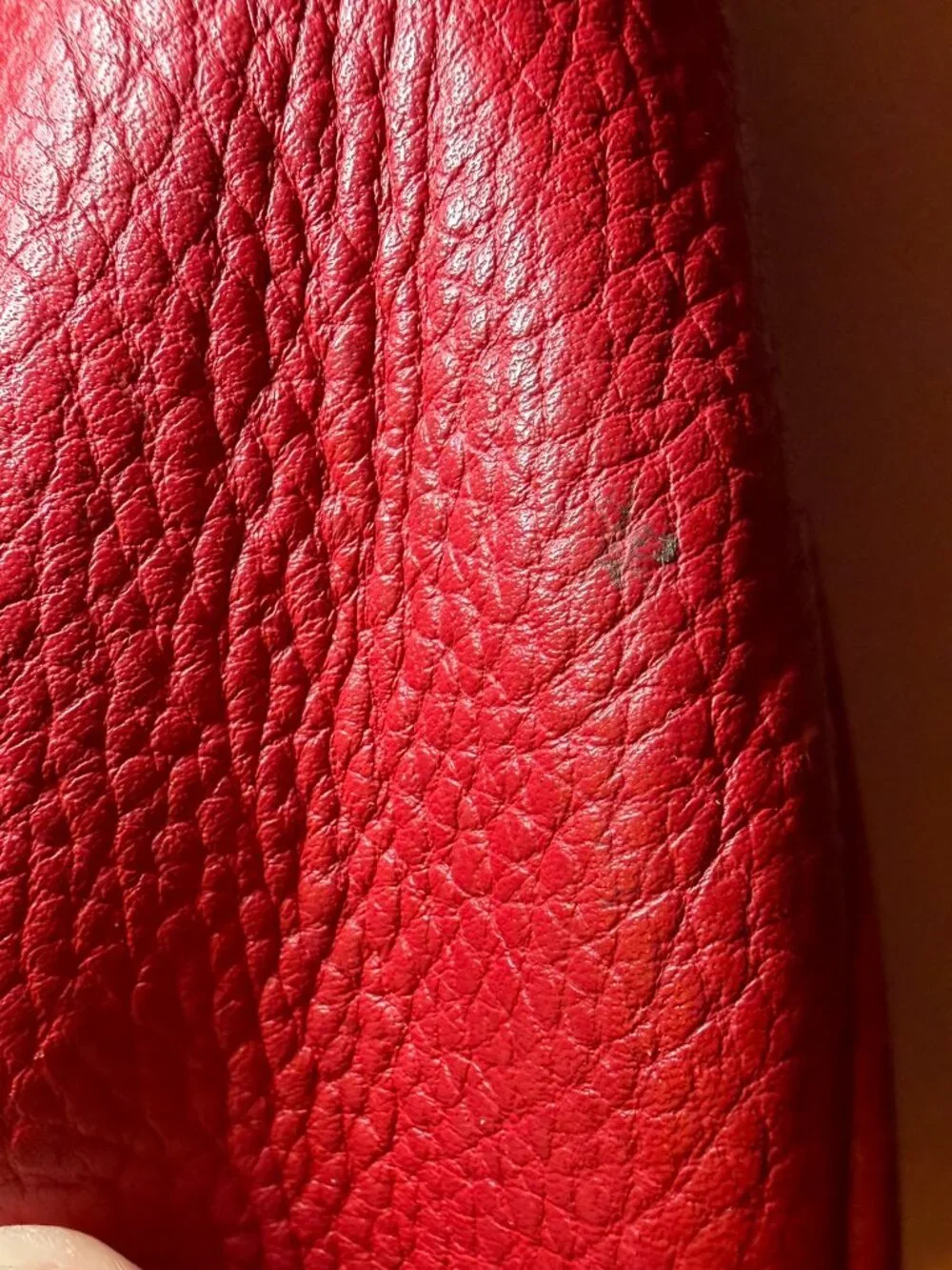 Coach Ellie File Bag